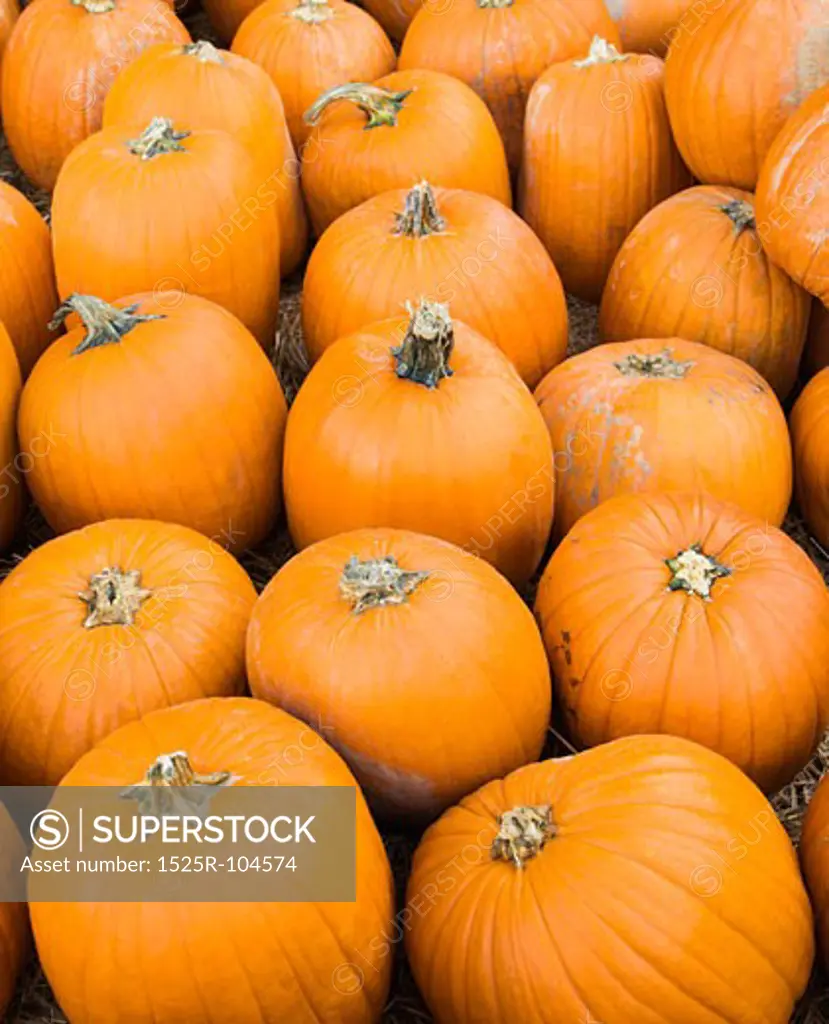 Group of pumpkins sitting on ground at farmers market.