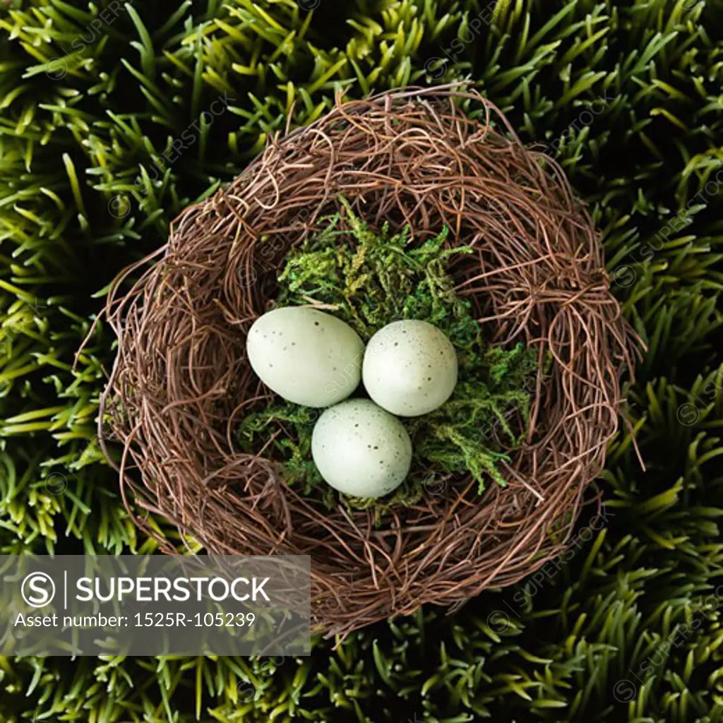 Speckled eggs in nest on grass.