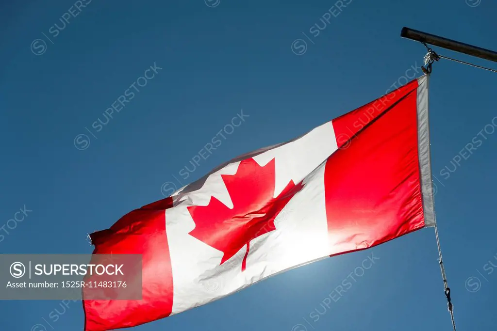 Low angle view of the Canadian flag fluttering, Twillingate, South Twillingate Island, Newfoundland And Labrador, Canada