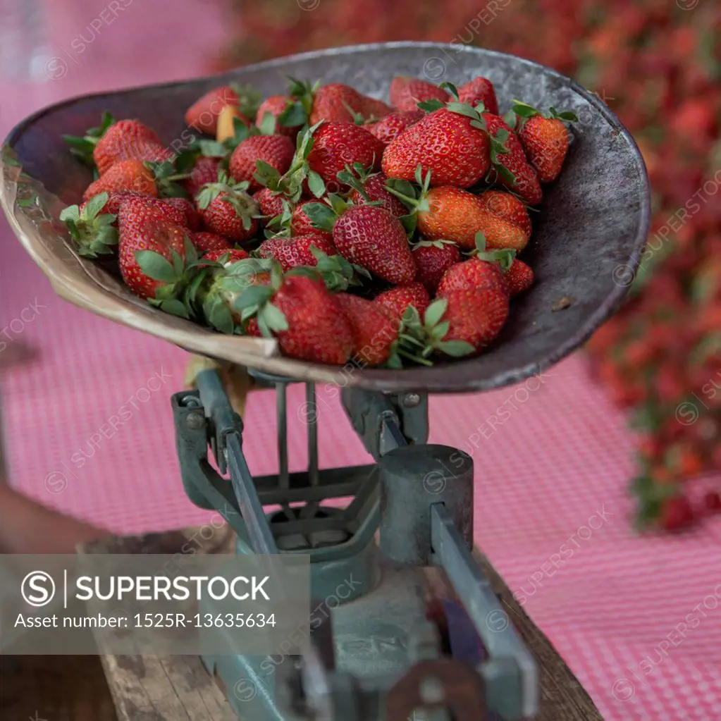 Strawberries on traditional set of scales, Arcos de San Miguel, San Miguel de Allende, Guanajuato, Mexico
