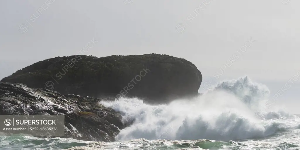 Wave splashing at coast, Pacific Rim National Park Reserve, Tofino, Vancouver Island, British Columbia, Canada