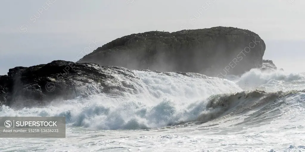 Waves splashing at coastline, Pacific Rim National Park Reserve, Tofino, Vancouver Island, British Columbia, Canada