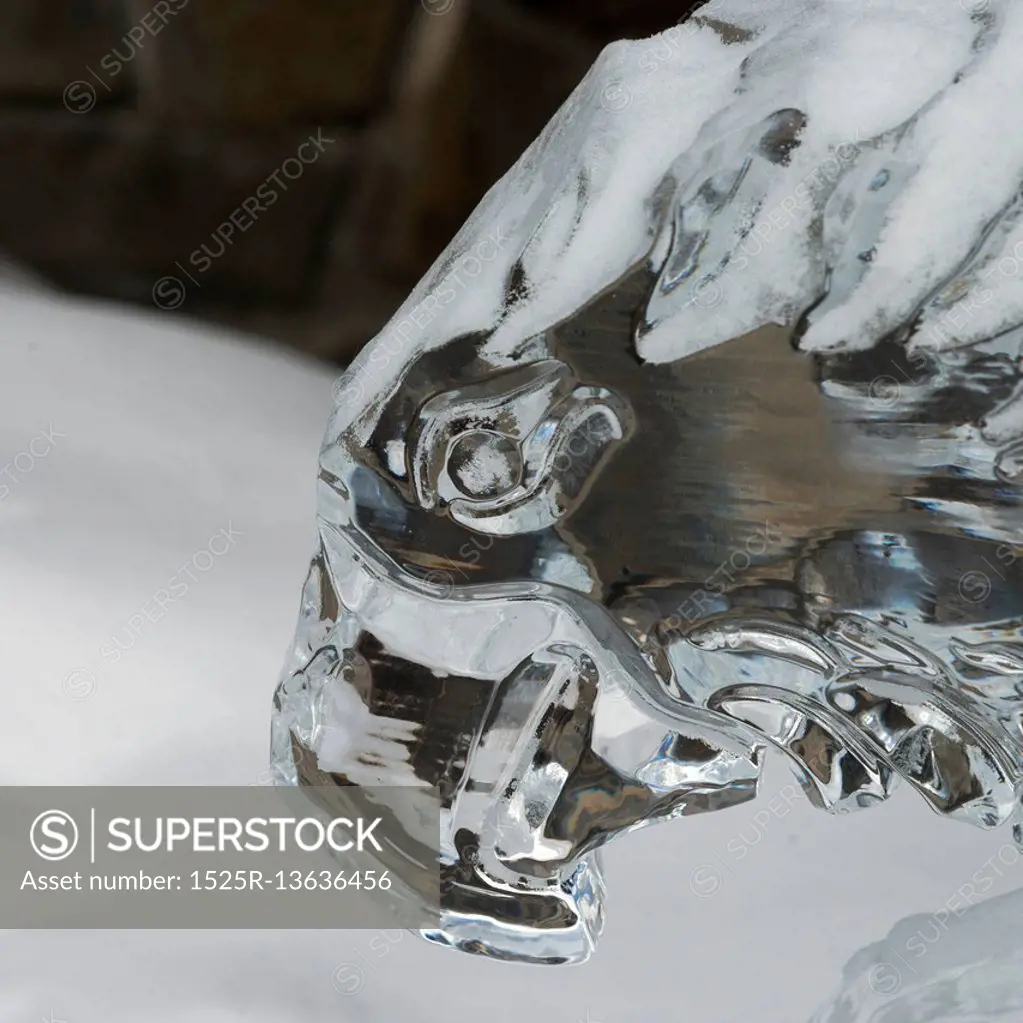 Close-up of hawk ice sculpture, Lake Louise, Alberta, Canada