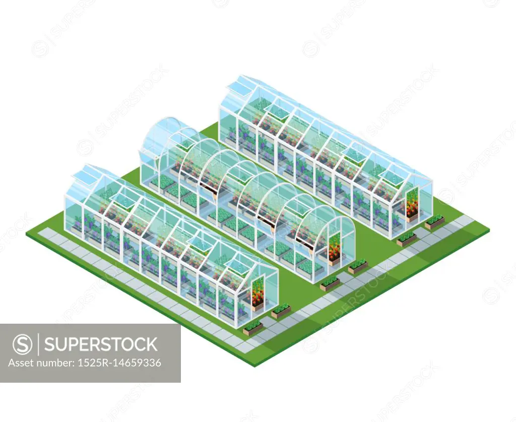 Greenhouses Isometric Location. Greenhouses isometric location with eco natural healthy seeding vegetables and plants isolated vector illustration