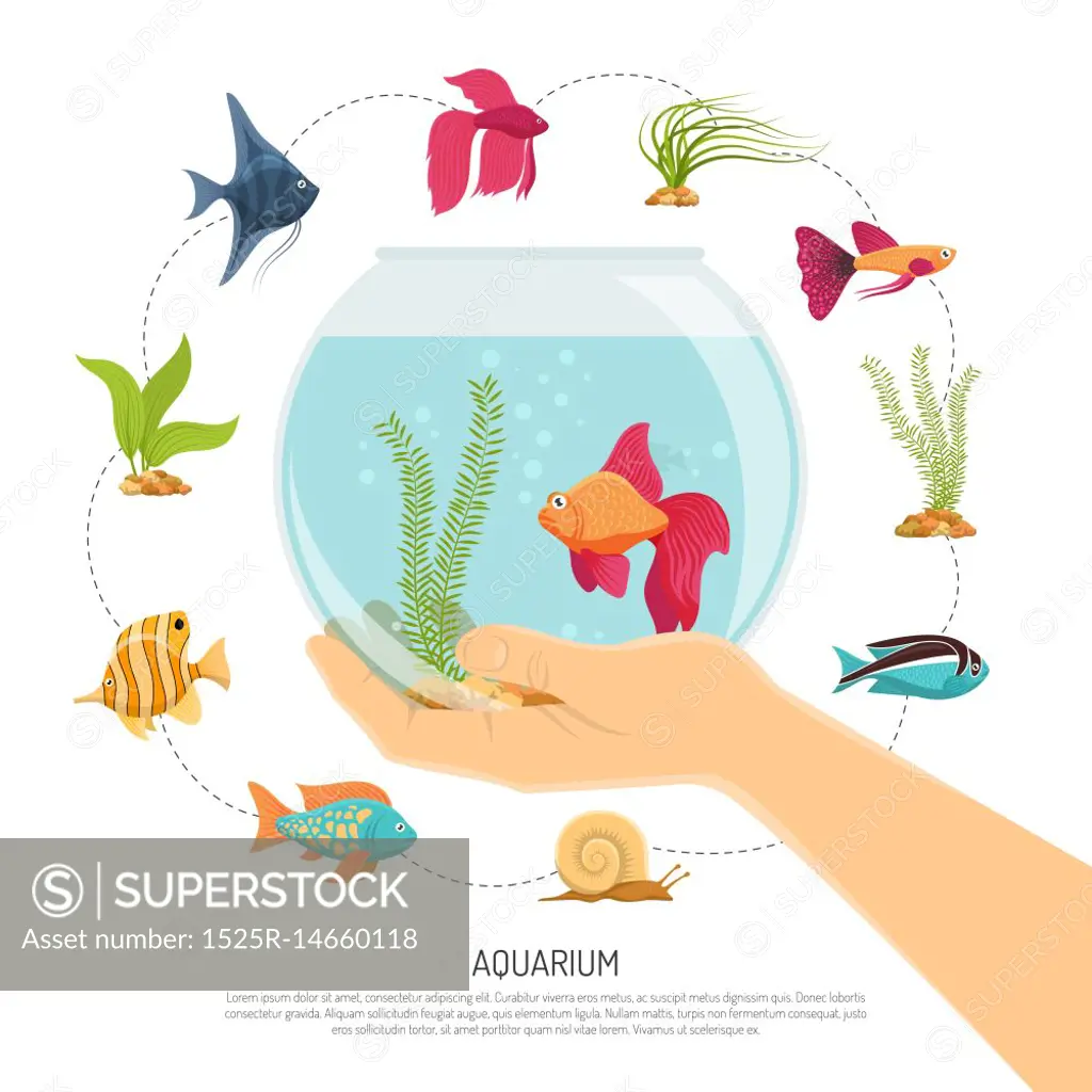 Fish Bowl Hand Composition. Aquarium background with flat images