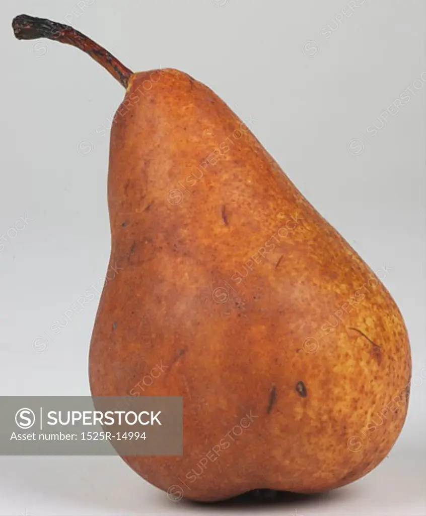 Winter Nellis Pear 