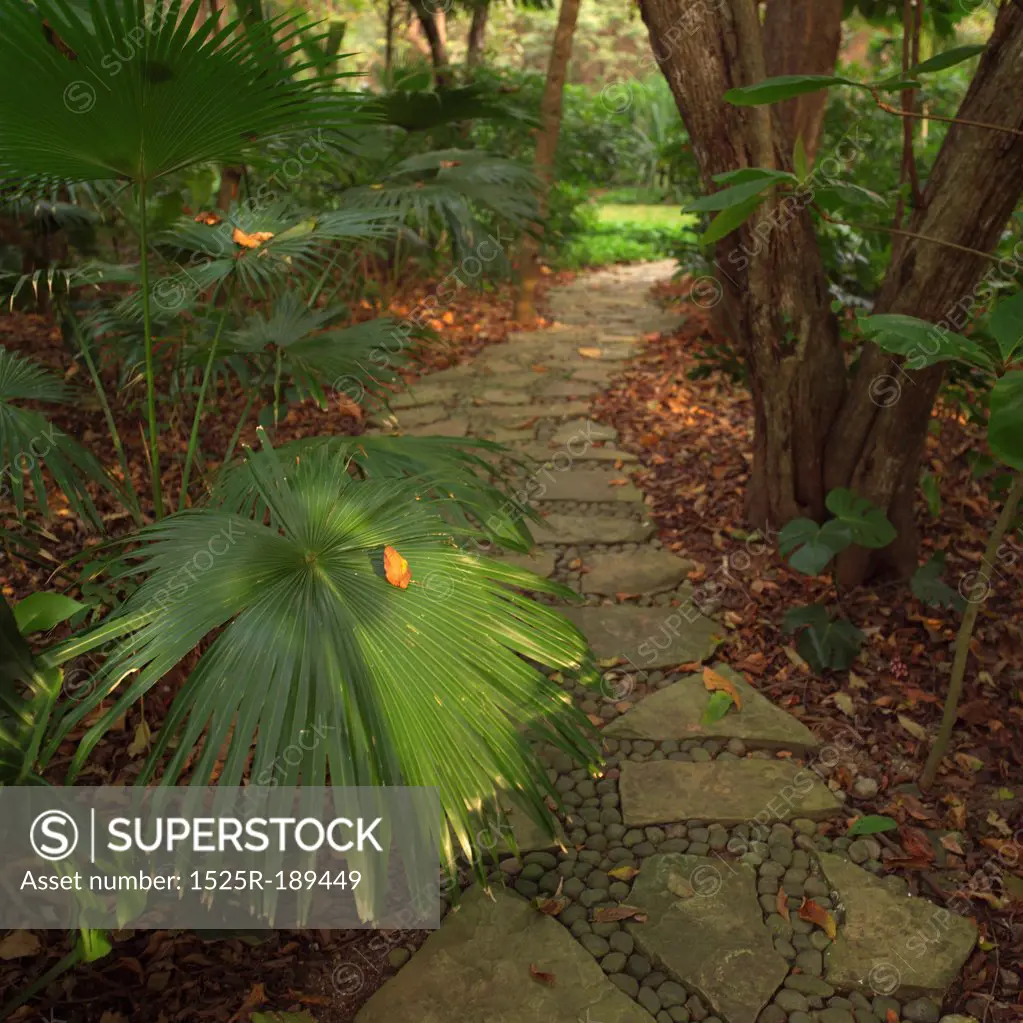 Stone pathway in Costa Rica