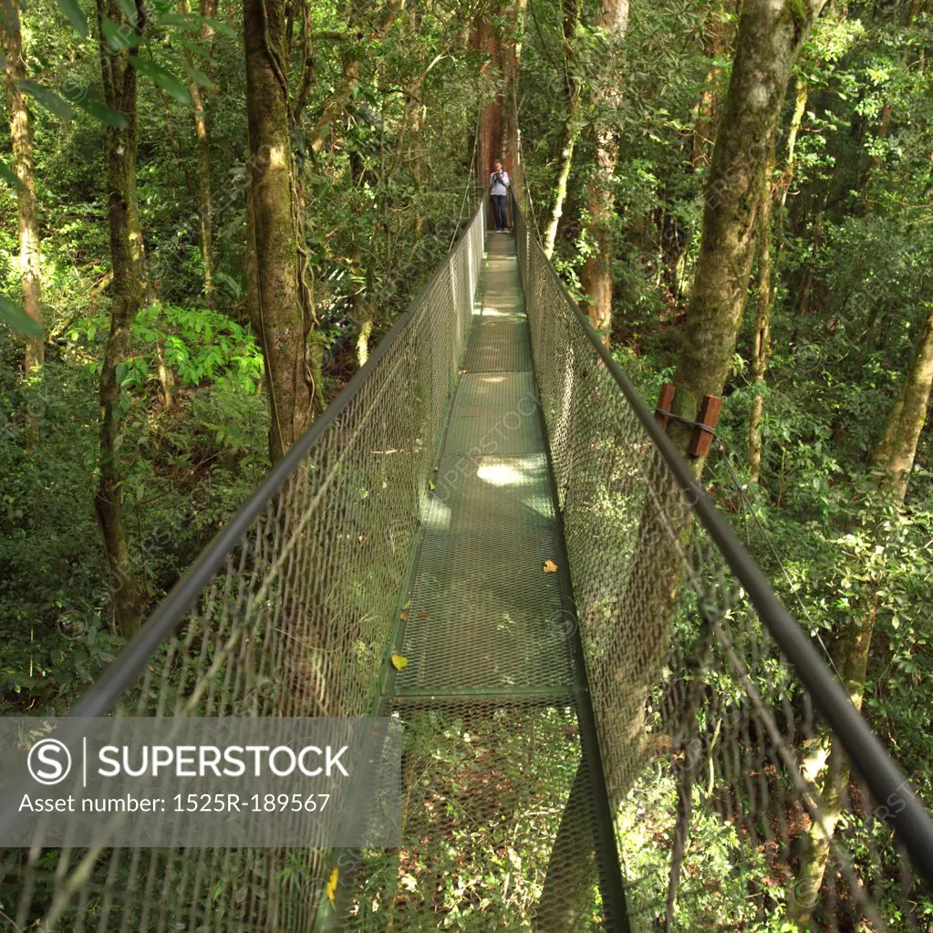 Suspension Bridge in Costa Rica