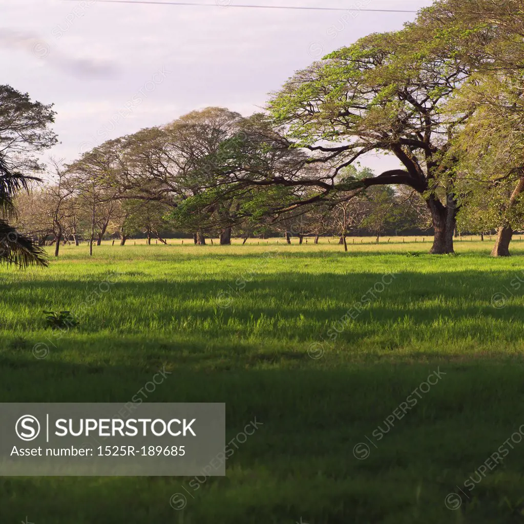 Countryside in Costa Rica