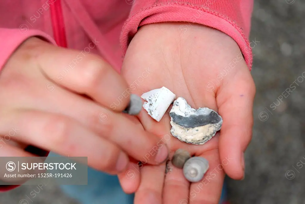 Girl observing her collected rocks