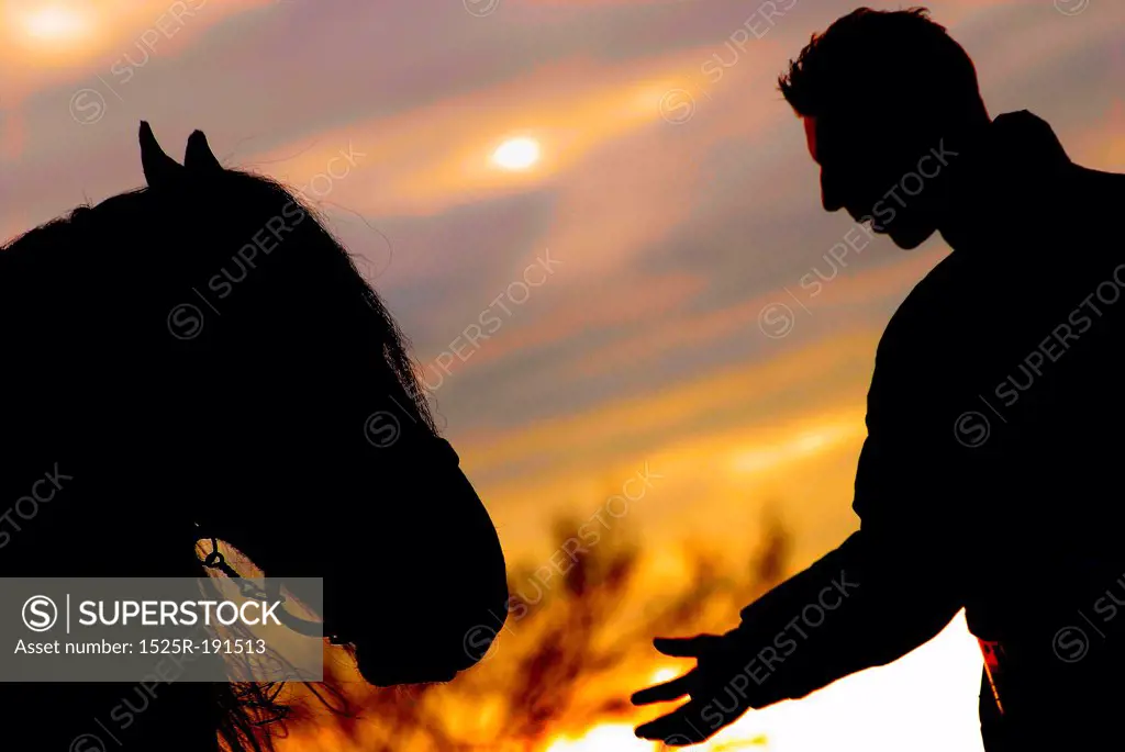 Silhouette of man and horse in sunset