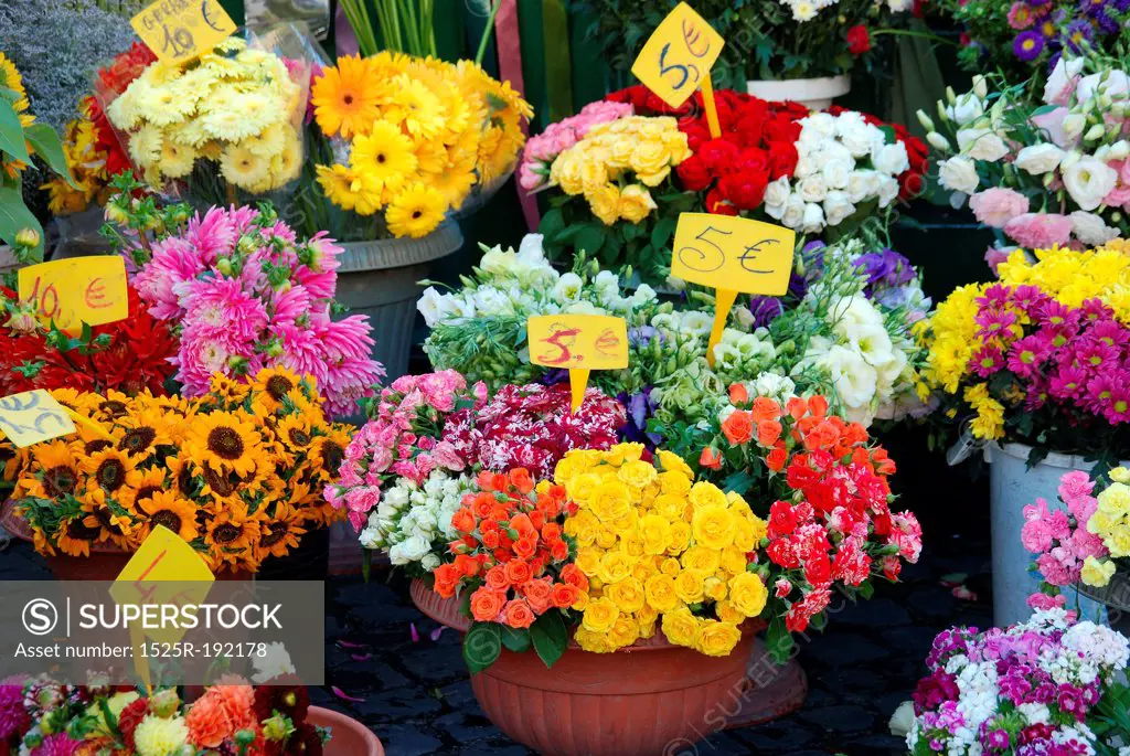 Florist market stall in plaza, Rome