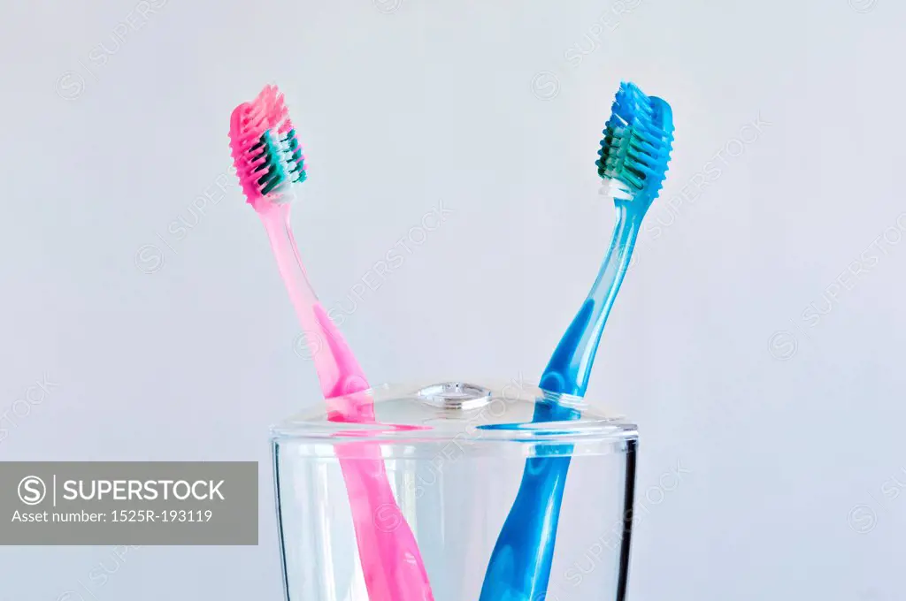 Couple of pink and blue toothbrushes in toothbrush holder.