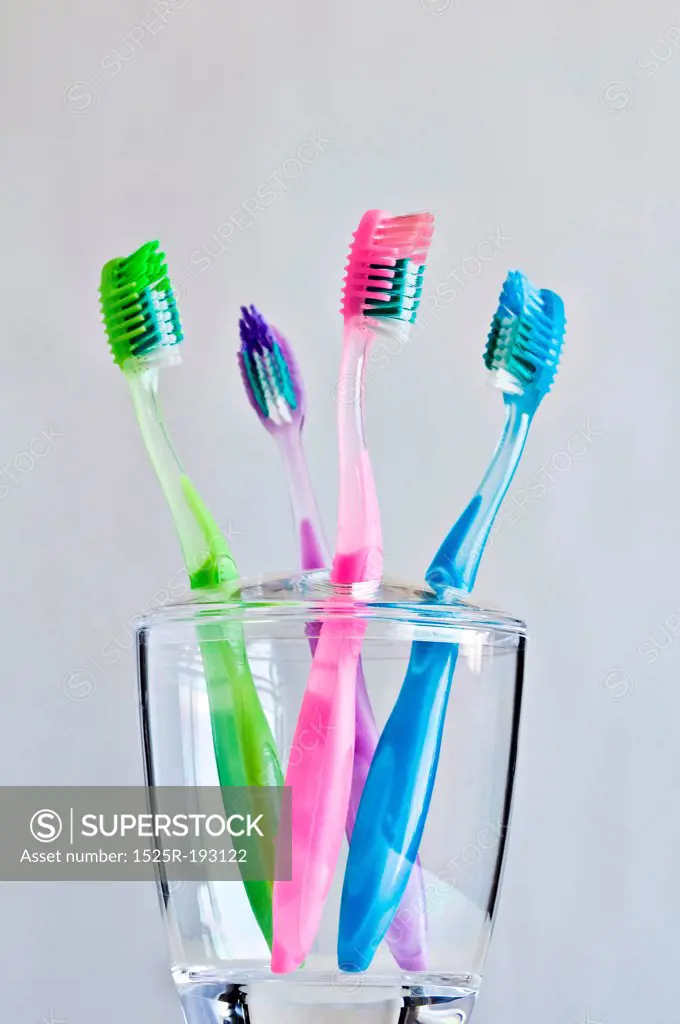 Four different colored toothbrushes in clear toothbrush holder.