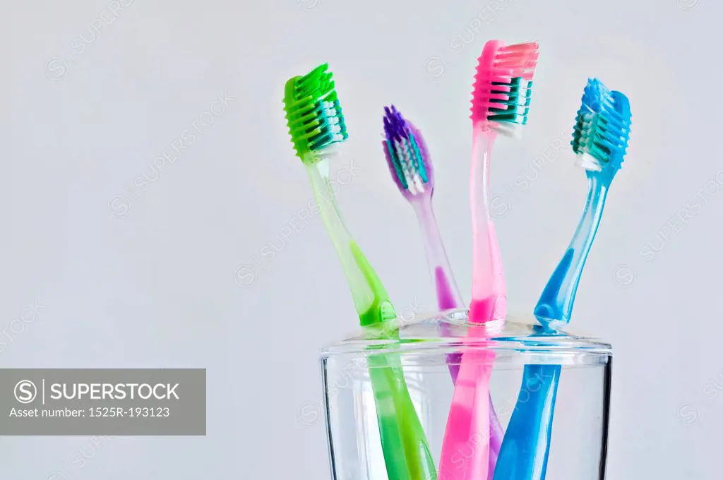 Four different colored toothbrushes in toothbrush holder.