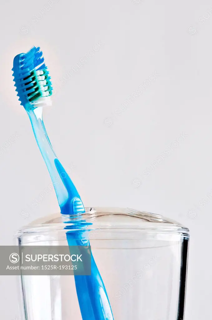 Single blue toothbrush in bathroom toothbrush holder.