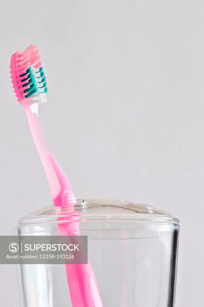 Single pink toothbrush in toothbrush holder.