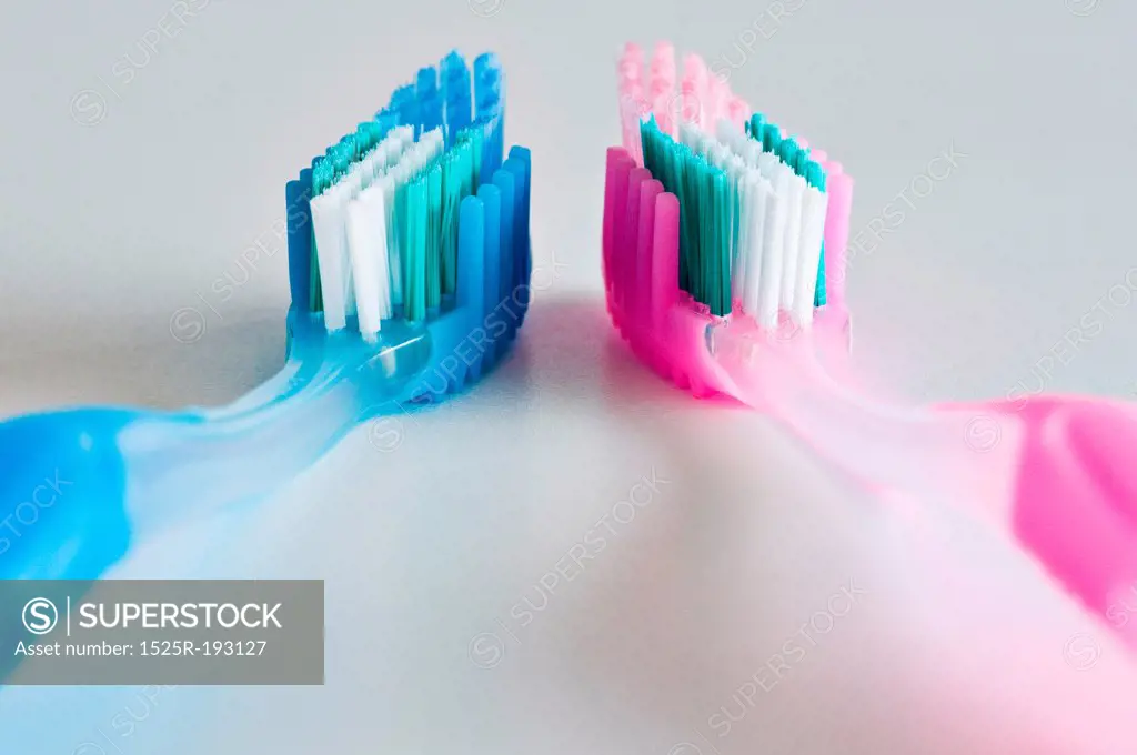 Close up of a couple of pink and blue toothbrushes face-up and side by side.