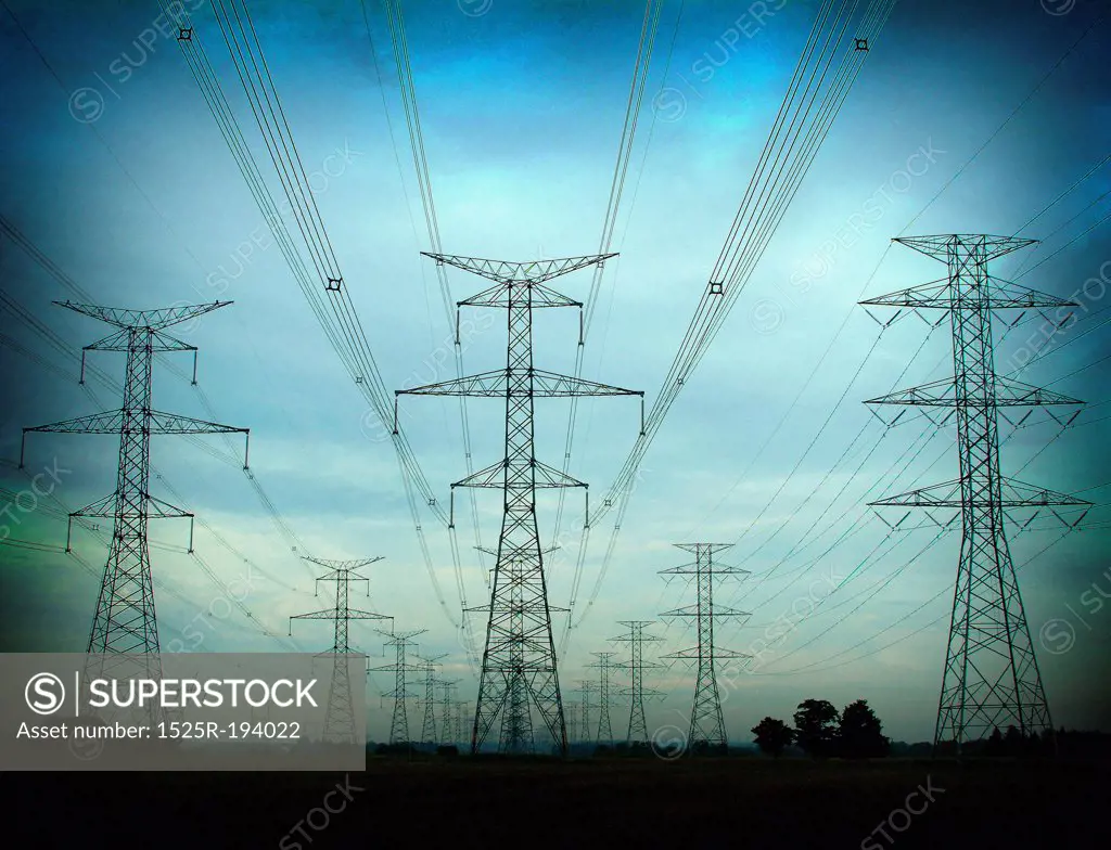 Network of transmission lines.
