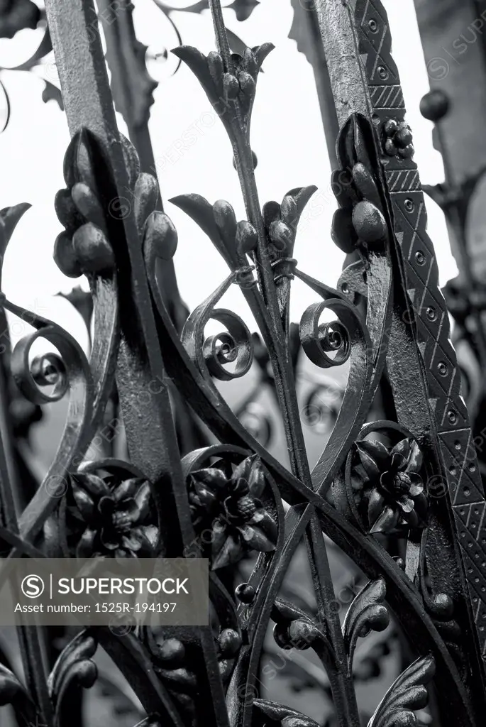Ornate detailed iron gate.