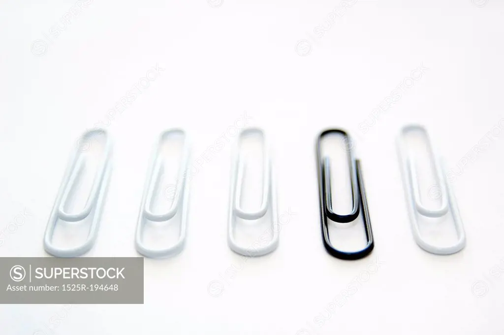 Black paper clip standing out from group of white ones.