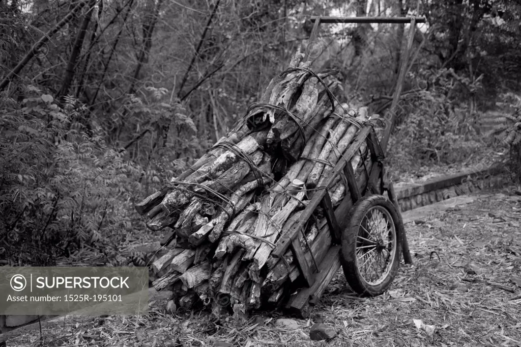 Cart full of logs in Bali