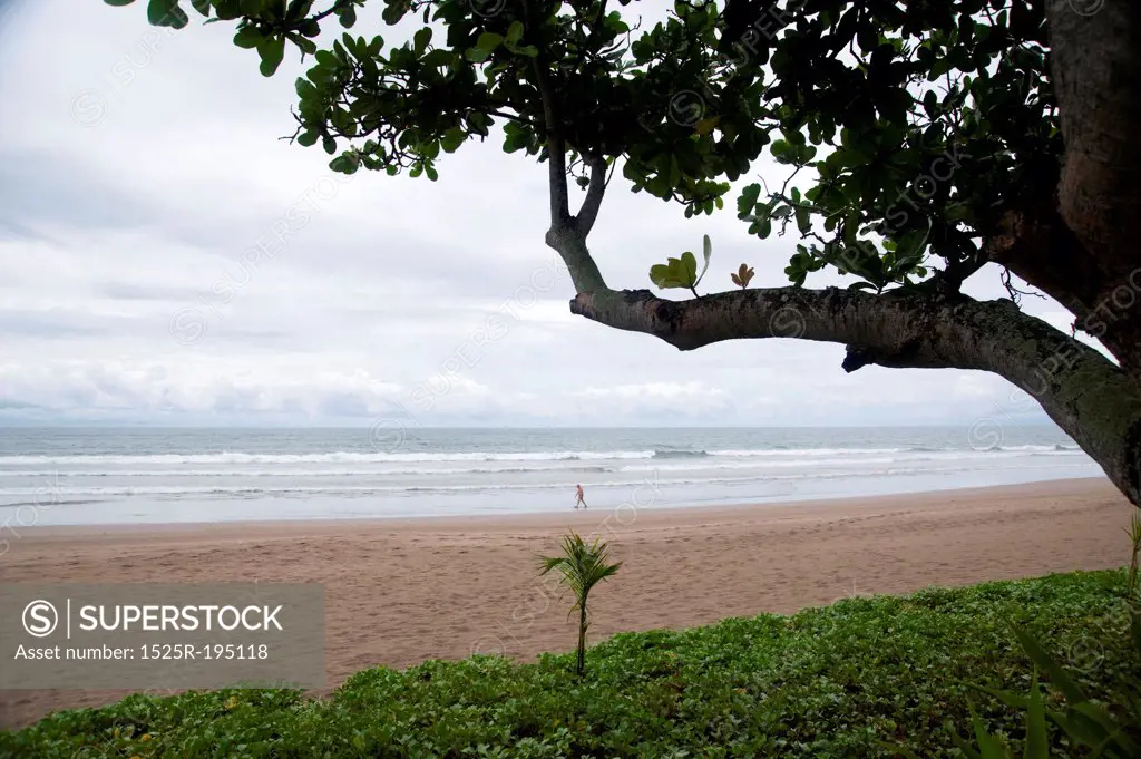 Coastline in Bali
