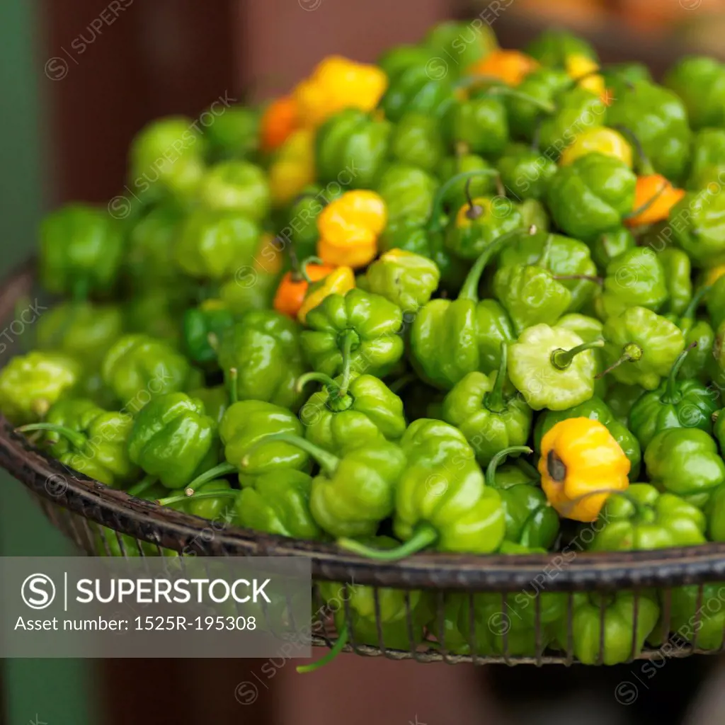 San Ignacio, Bowl of Peppers