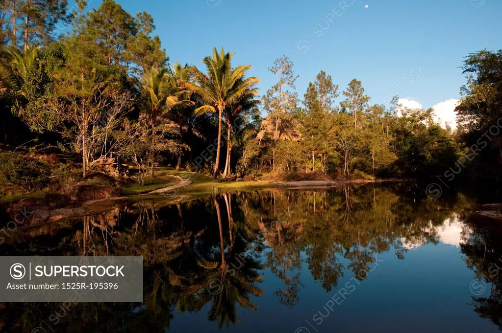 Mountain Pine Ridge Reserve, Reflection in Water