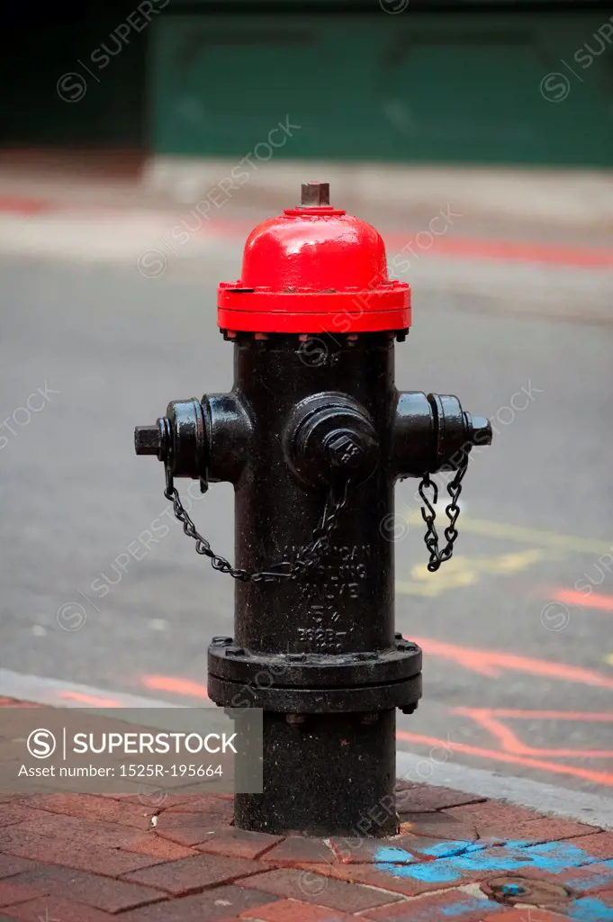 Fire hydrant in Boston, Massachusetts, USA
