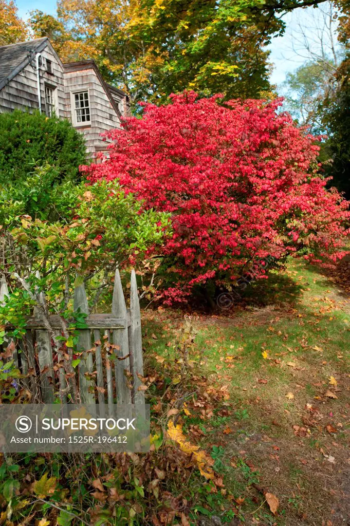 House and autumn leaves in The Hamptons