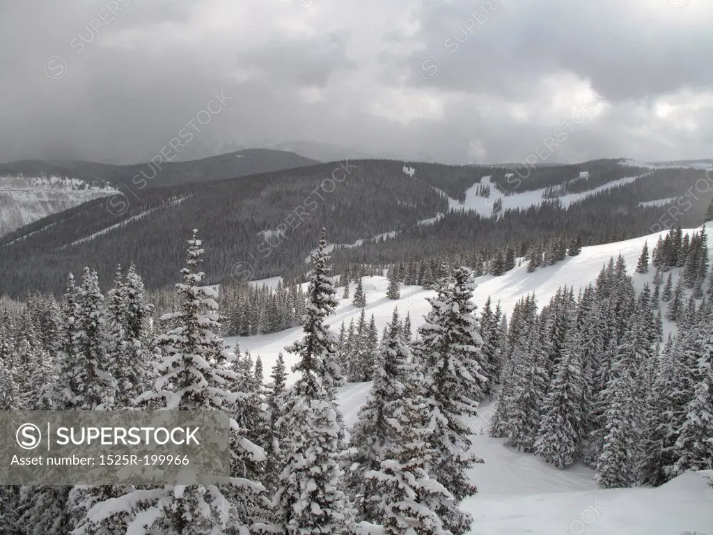 Winter landscape in Vail, Colorado