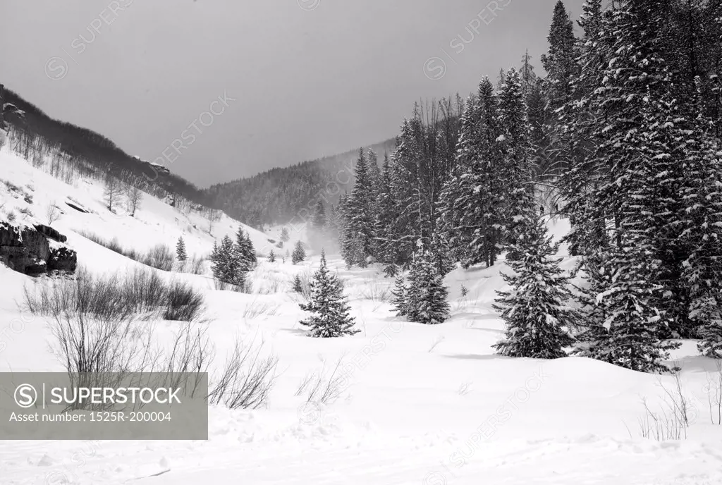 Snow covered mountainside in Vail, Colorado