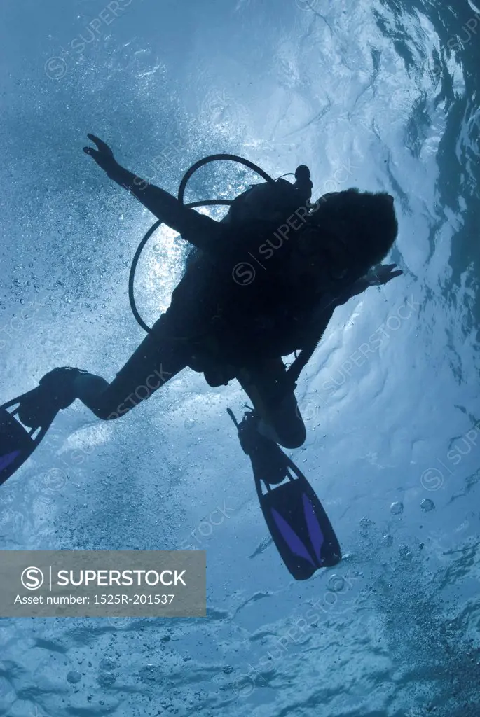 Underwater photography, scuba diver