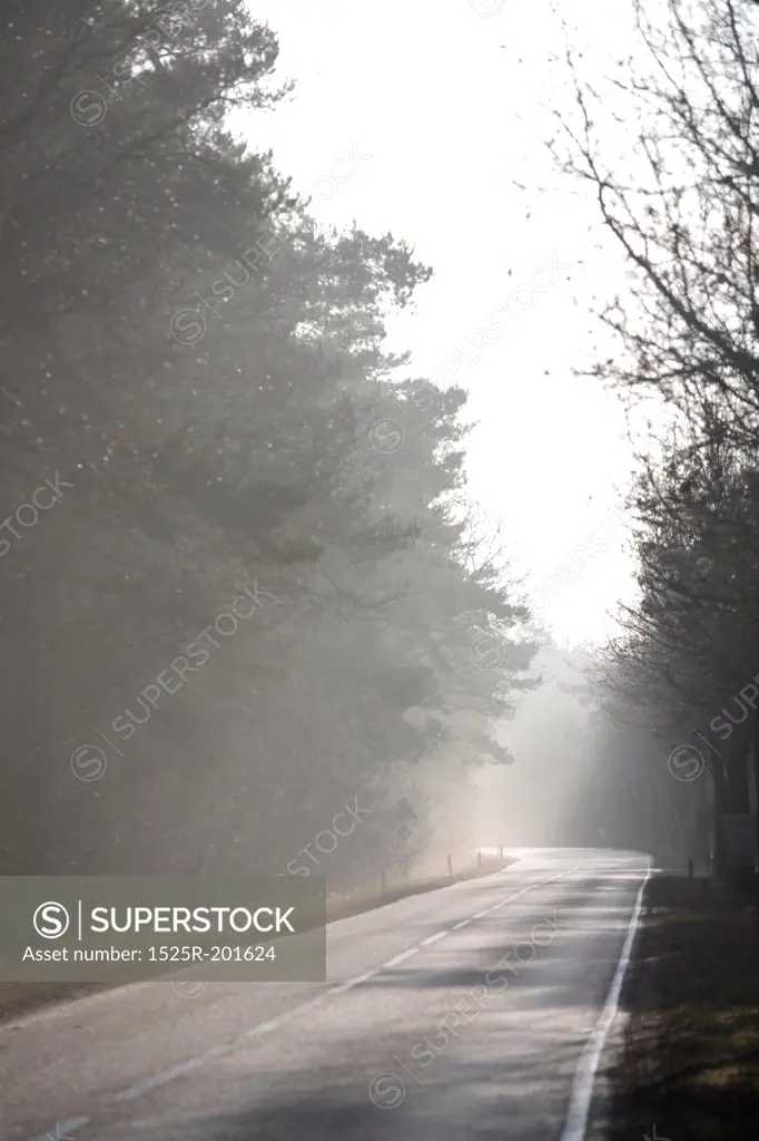 Foggy road vertical