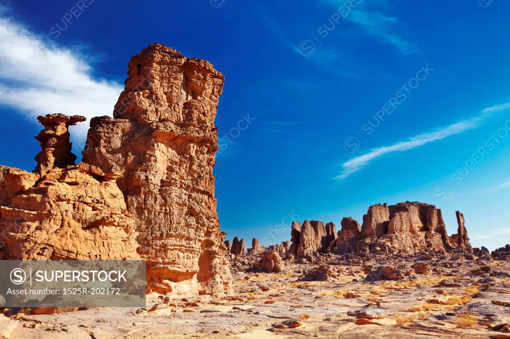 Bizarre sandstone cliffs in Sahara Desert, Tassili N'Ajjer, Algeria
