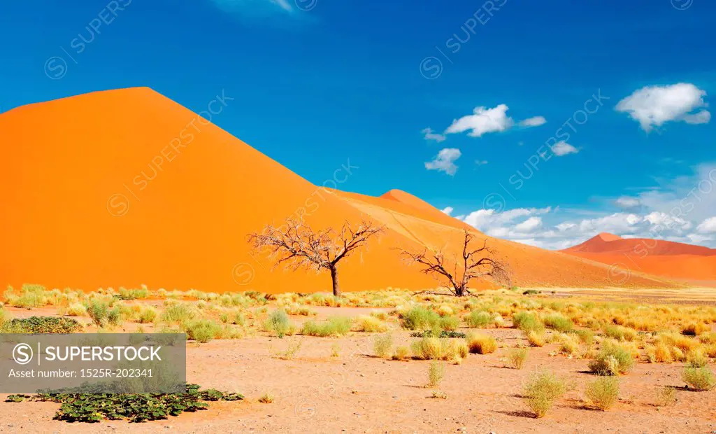 Dunes of Namib Desert, Sossusvlei, Namibia