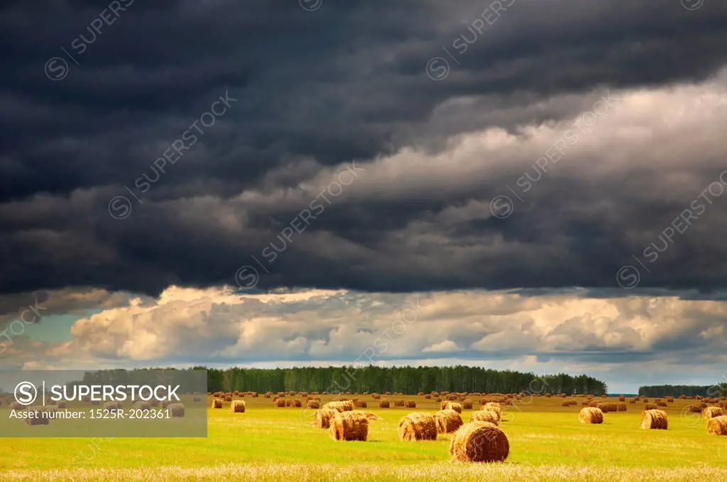Landscape with hayfield and storm clouds