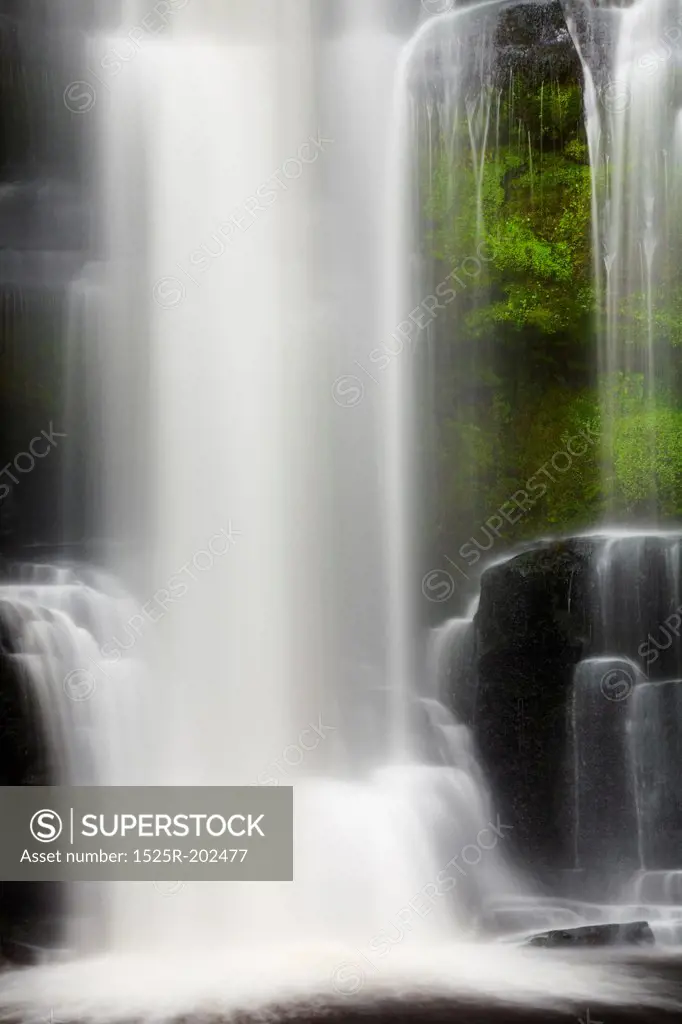 Waterfall in primeval forest, New Zealand
