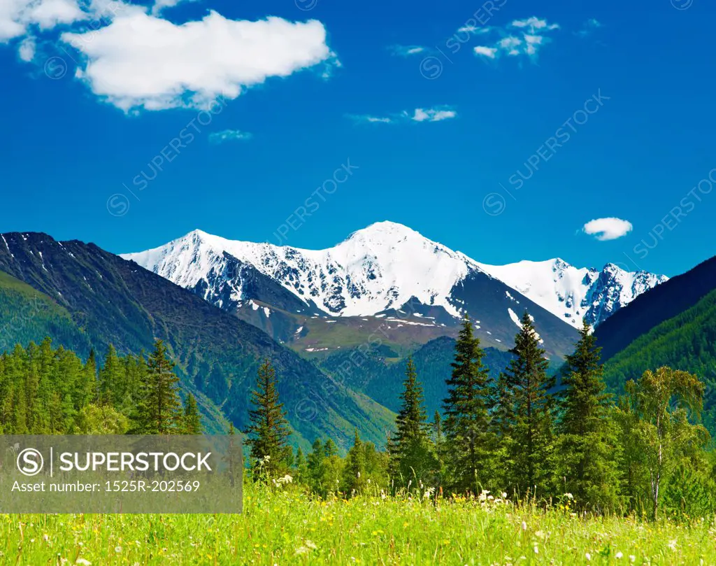 Landscape with snowy mountain and blue sky