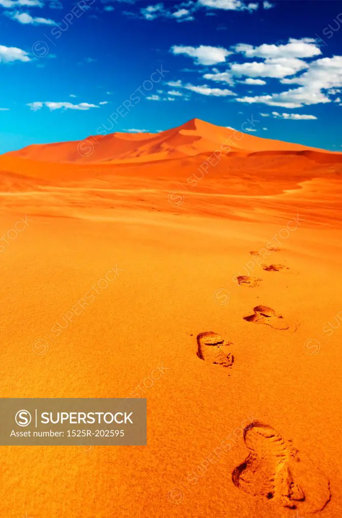 Footprints on the sand, dunes of Namib Desert
