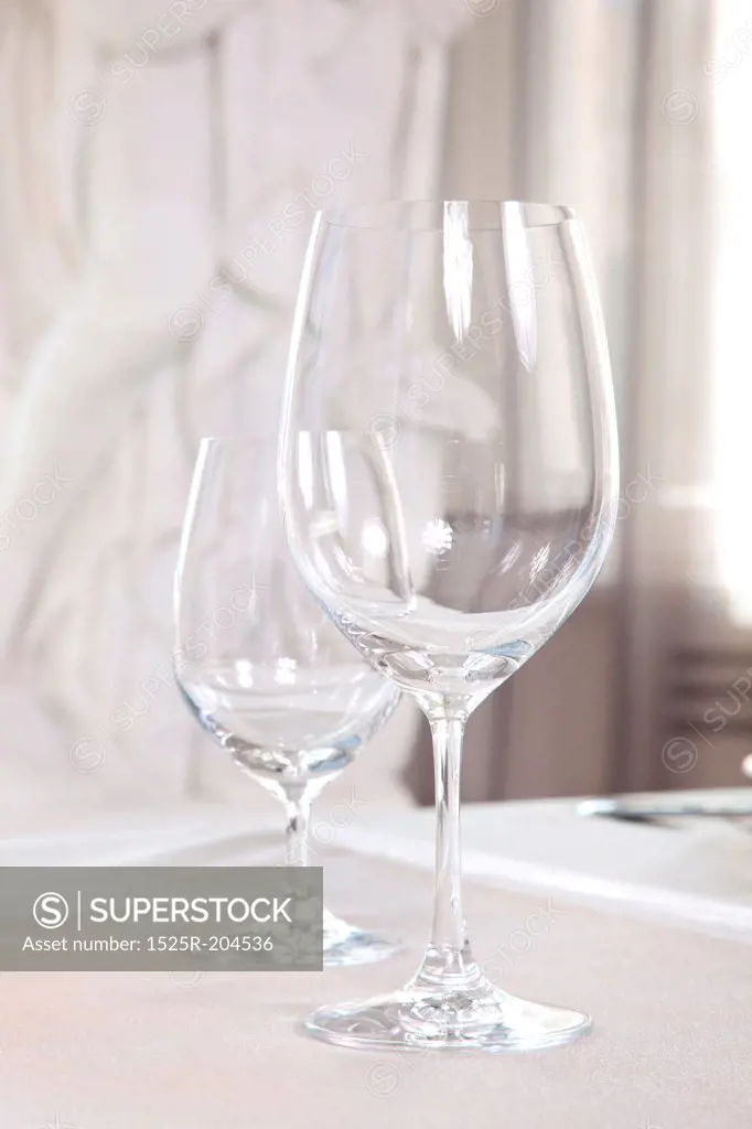 Wine glasses on the table