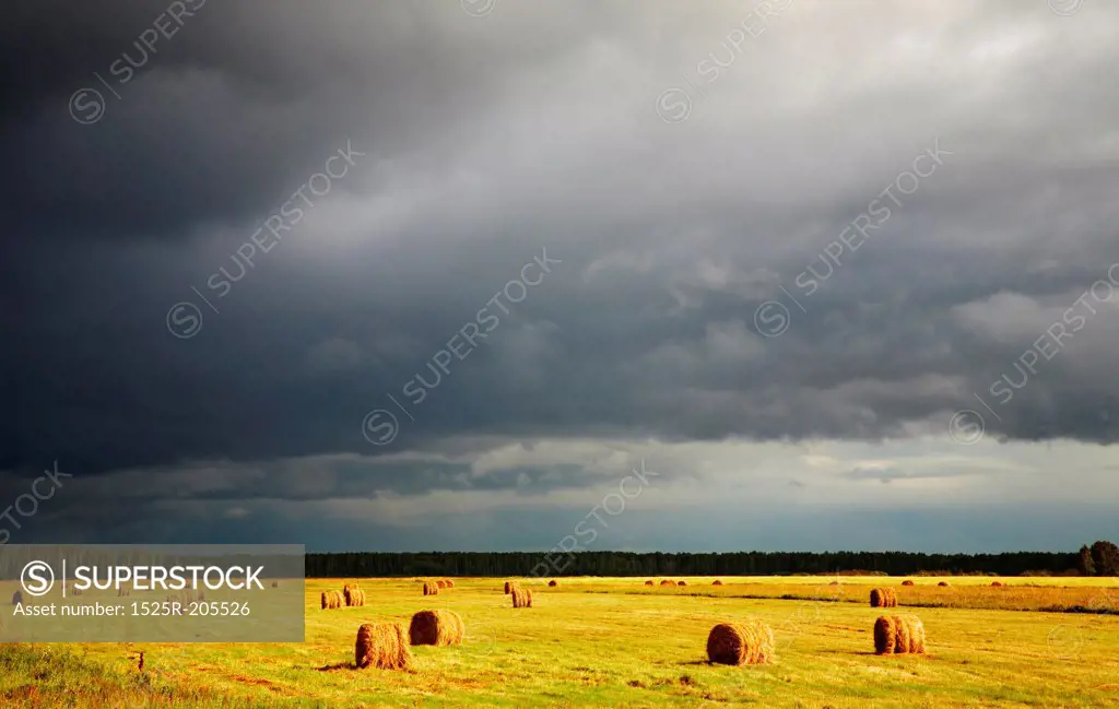 Summer landscape with hayfield and storm clouds