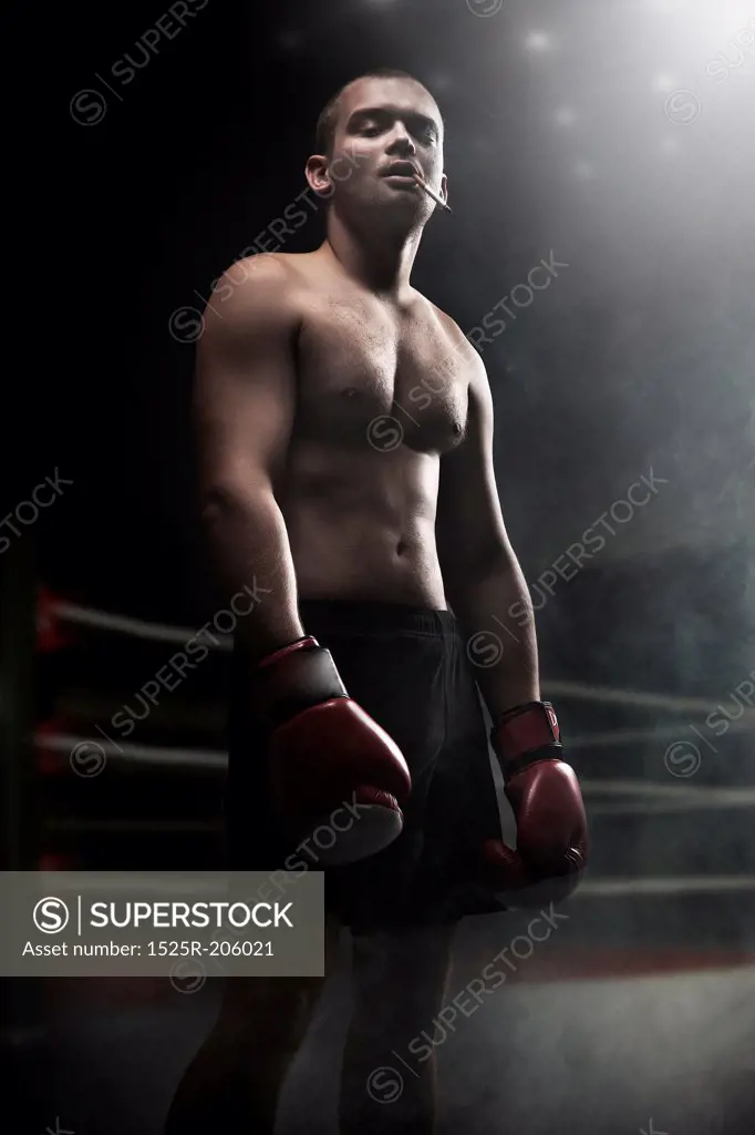Portrait of attractive boxer in the dark