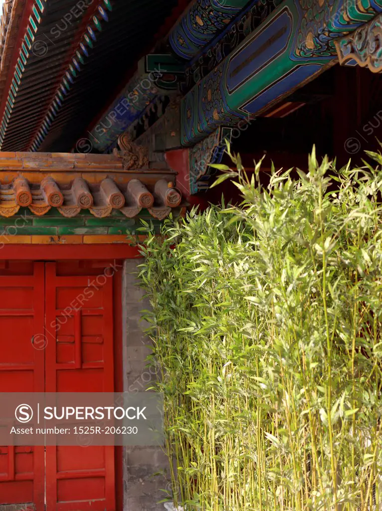 Plants in front of a building, Imperial Garden, Forbidden City, Beijing, China