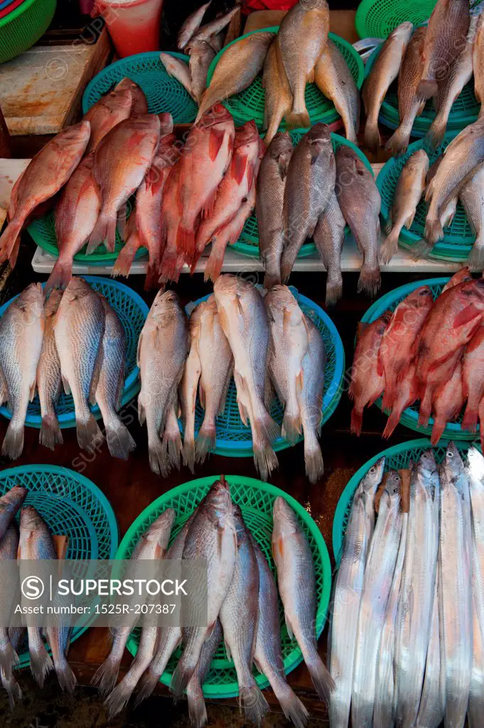 Fish at a stall in a fish market, Busan, Yeongnam, South Korea