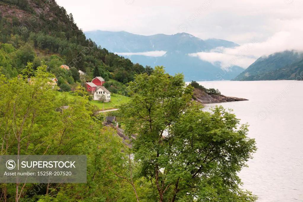 Trees at coast with houses in the background, Hardanger, Hardangerfjord, Hardangervidda, Hardanger, Norway