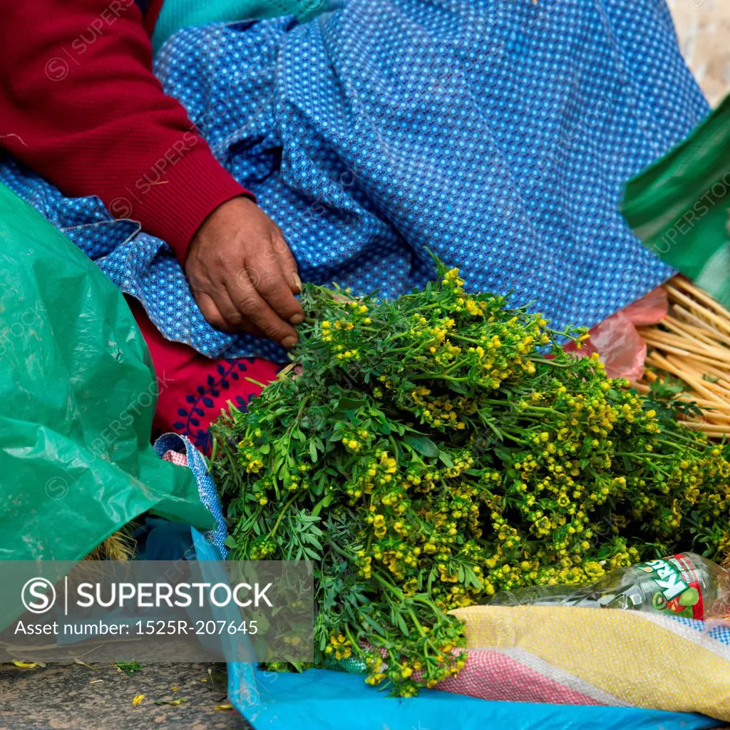 Vendor selling herbs at a market stall, Sacred Valley, Cusco Region, Peru