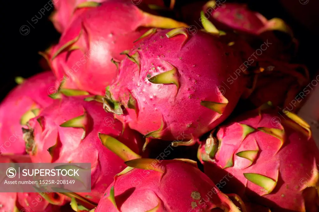 Close-up of pitayas, Chiang Mai, Thailand