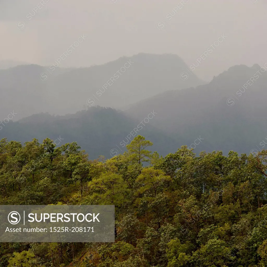 Forest with a mountain range in the background, Thailand